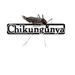 chikungunya